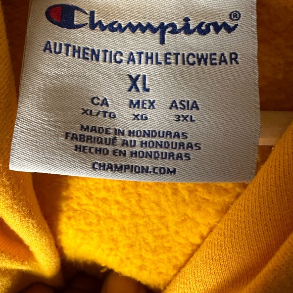 CHAMPION “UNIVERSITY of ALBANY” Hoodie Unisex, Men’s, Women’s Sweatshirt Size XL - Picture 4 of 9